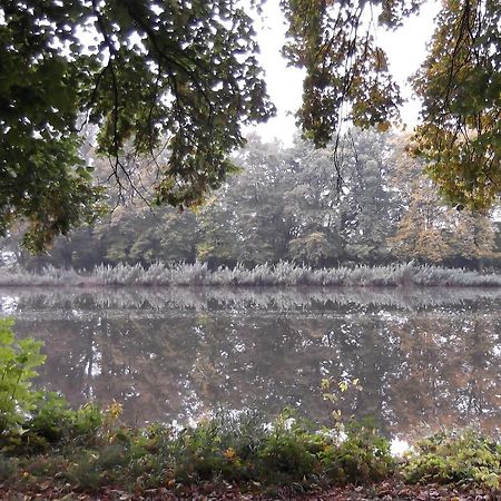 Angel Room Podebrady Bagian luar foto